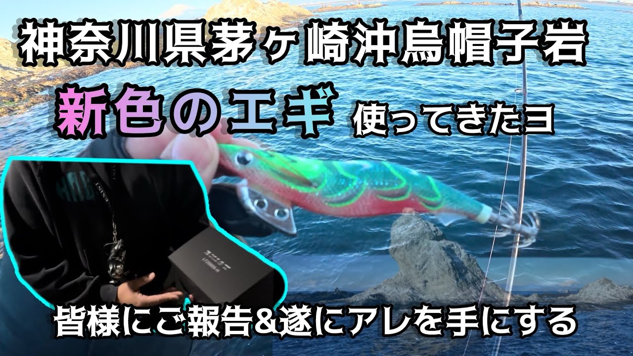 【エギング】報告◦エギング・買い物・あの男！？