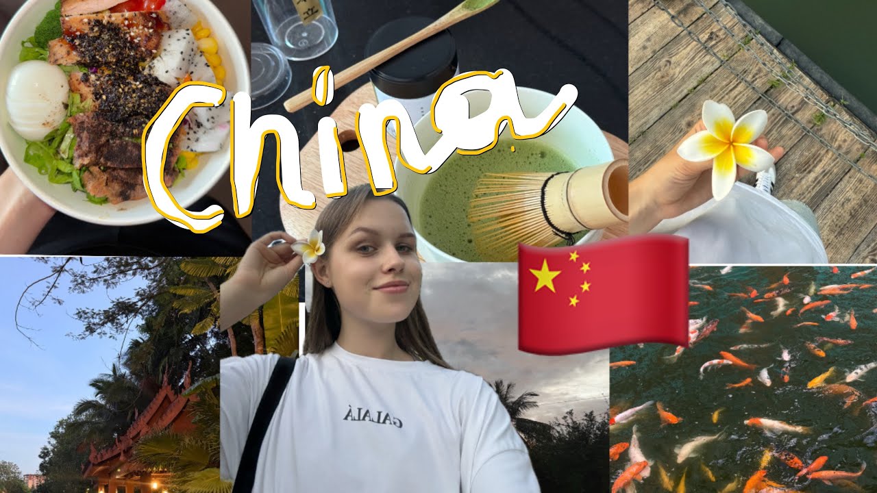 VLOG: рабочие будни в Китае| кем я работаю?