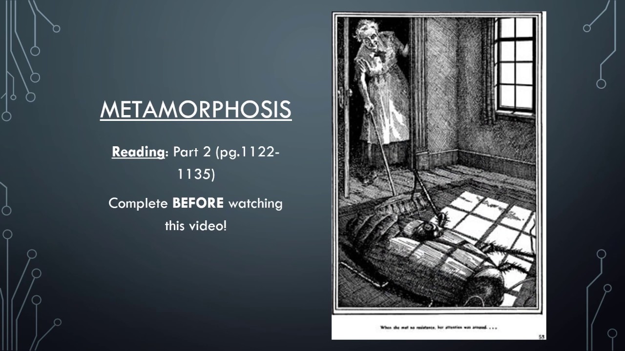 Video #31: Metamorphosis (Part 2)
