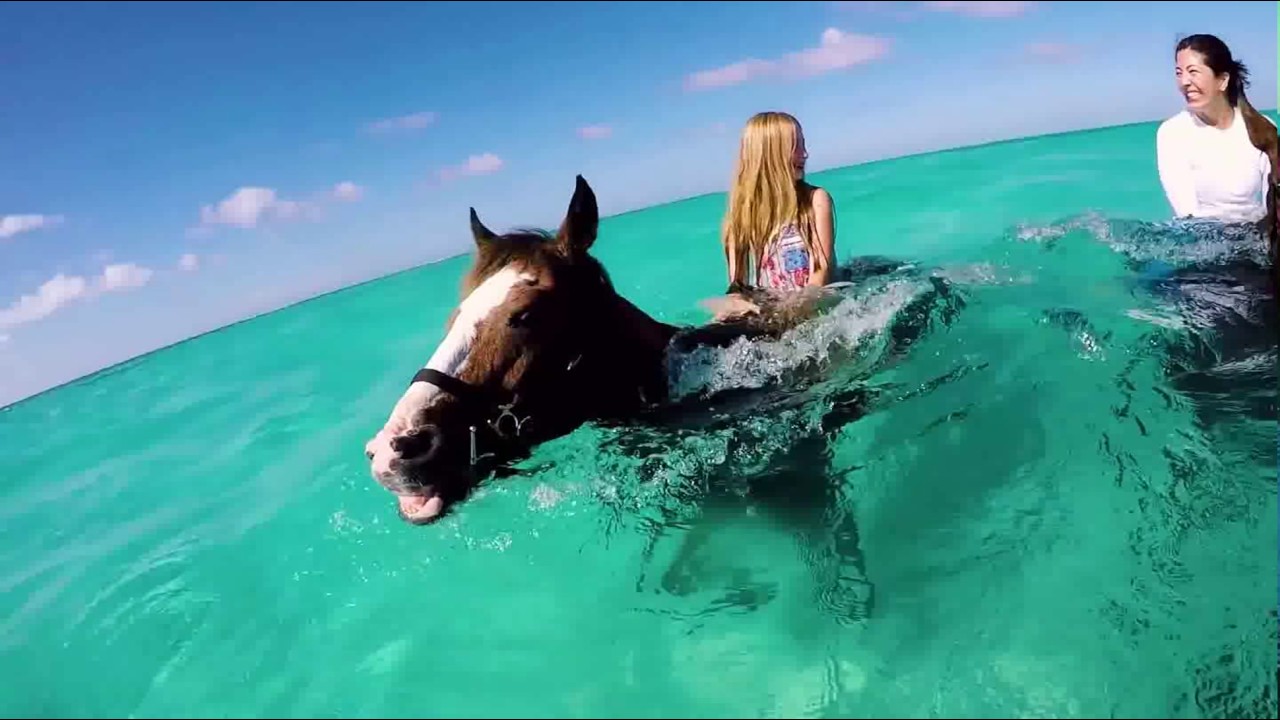 in acqua a cavallo