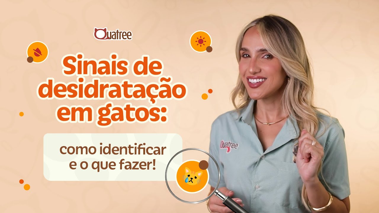 Sinais de desidratação em gatos: como identificar e o que fazer! | Quatree