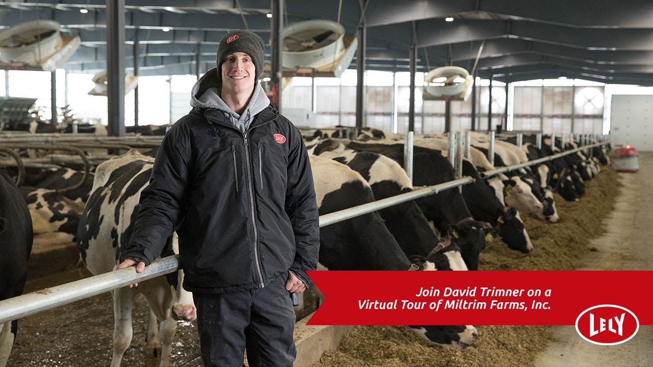 Tour the Largest Automated Dairy in Wisconsin | Lely Large Dairy Herd