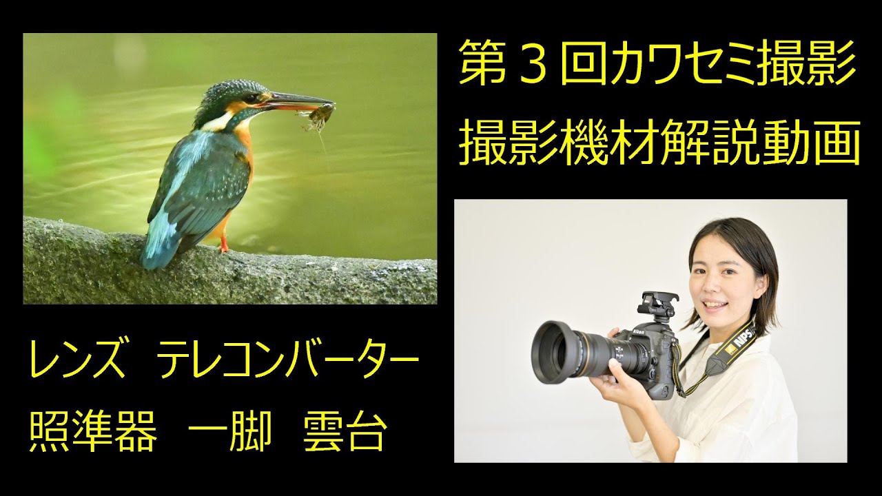 第３回カワセミ撮影　野鳥撮影機材　解説動画  テレコン　一脚　雲台