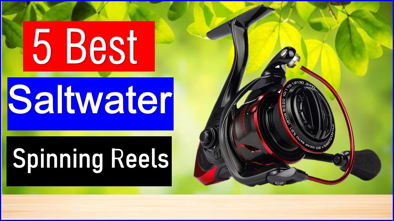 Top 5 Best Saltwater Spinning Reels in 2026 | Best Spinning Reels - Review