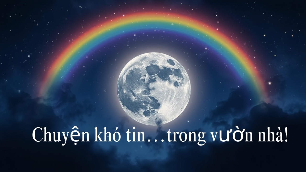 #104 Chỉ Là Một Buổi Tối Trong Vườn… Nhưng Rất Đặc Biệt. 02/10/2026