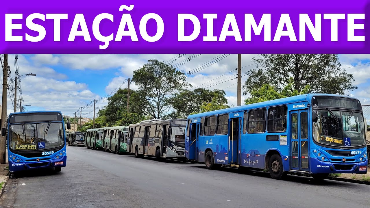 Estação Diamante / Movimentação de Ônibus #241