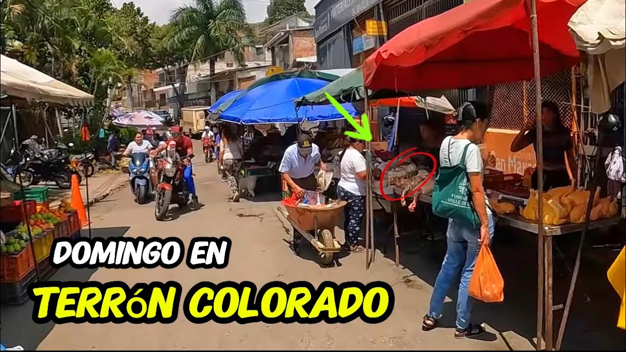 TERRÓN COLORADO 😨 Peligroso? ⚠️