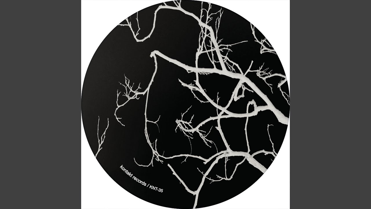 Velo-City