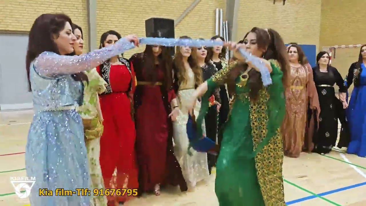 جه شنی کوردی له دانمارک 2024- Kurdish festin Denmark- Kia Film