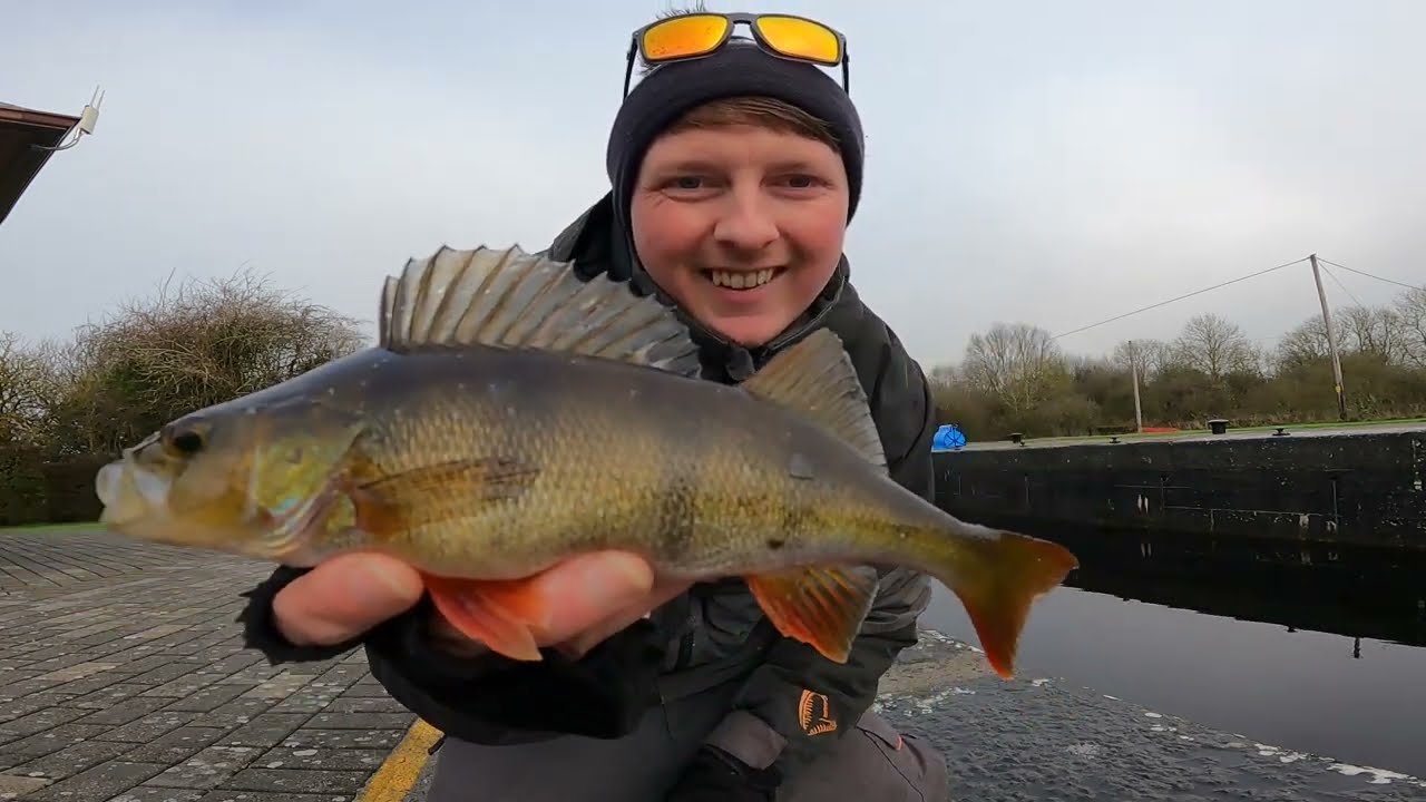 An easy way to catch Perch - fishing tips and tricks