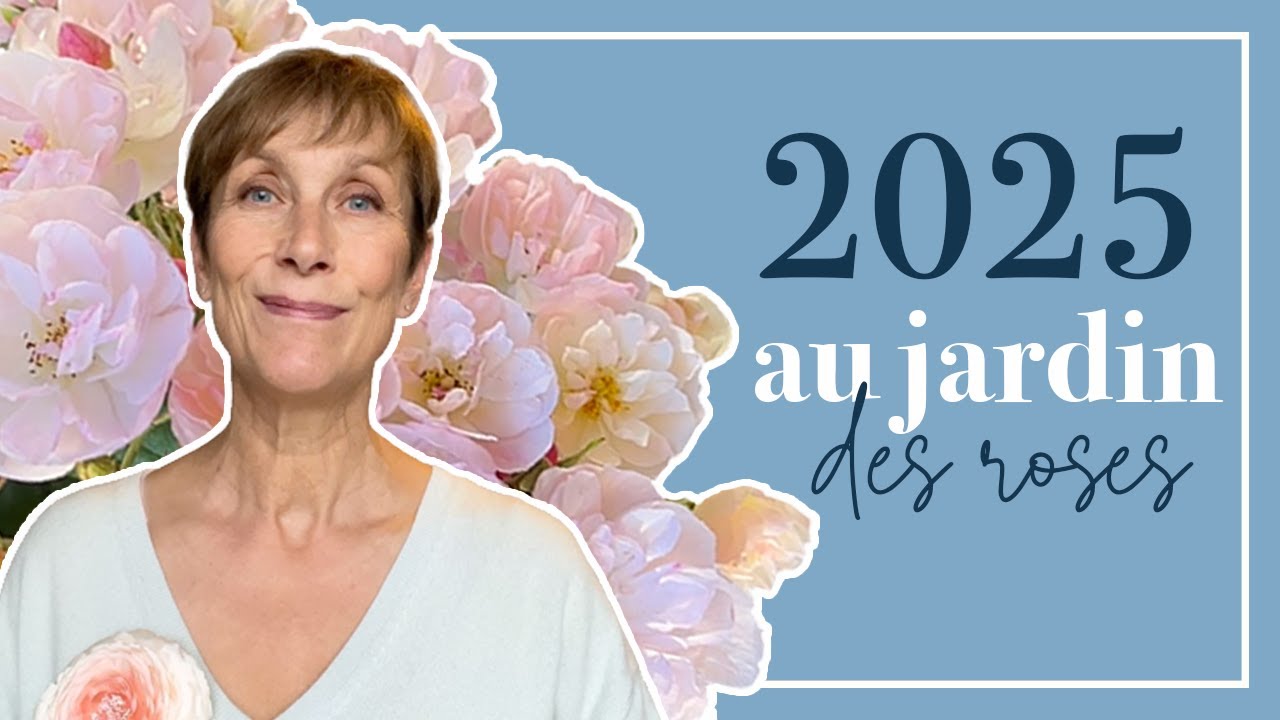 Réussites et échecs, rosiers précoces, boutures et jardins anglais en 2025
