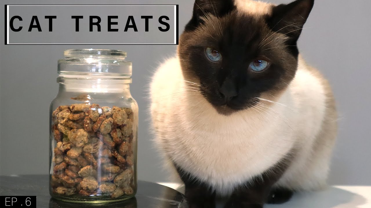 Home Made Cat Treats