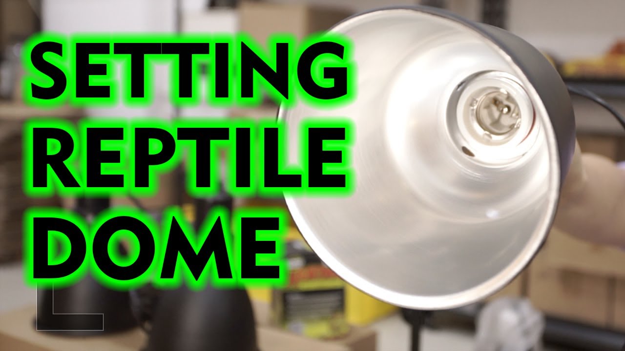 CARA PASANG FITTING LAMPU DOME REPTIL DAN PENOPANG BRAKET
