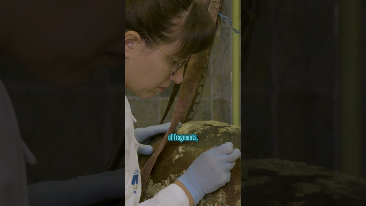 What's the Most Common Underwater Archaeological Find in Croatia?
