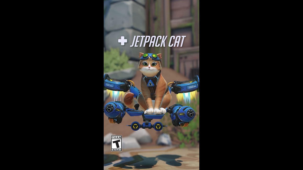 Meet Jetpack Cat, our newest Support 🐱