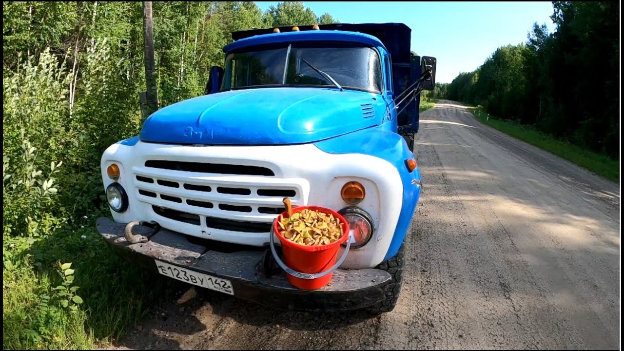 За грибами на ЗИЛ-130!!! Нашел много грибов в лесу около ручья! Сибирская тайга и красоты севера!