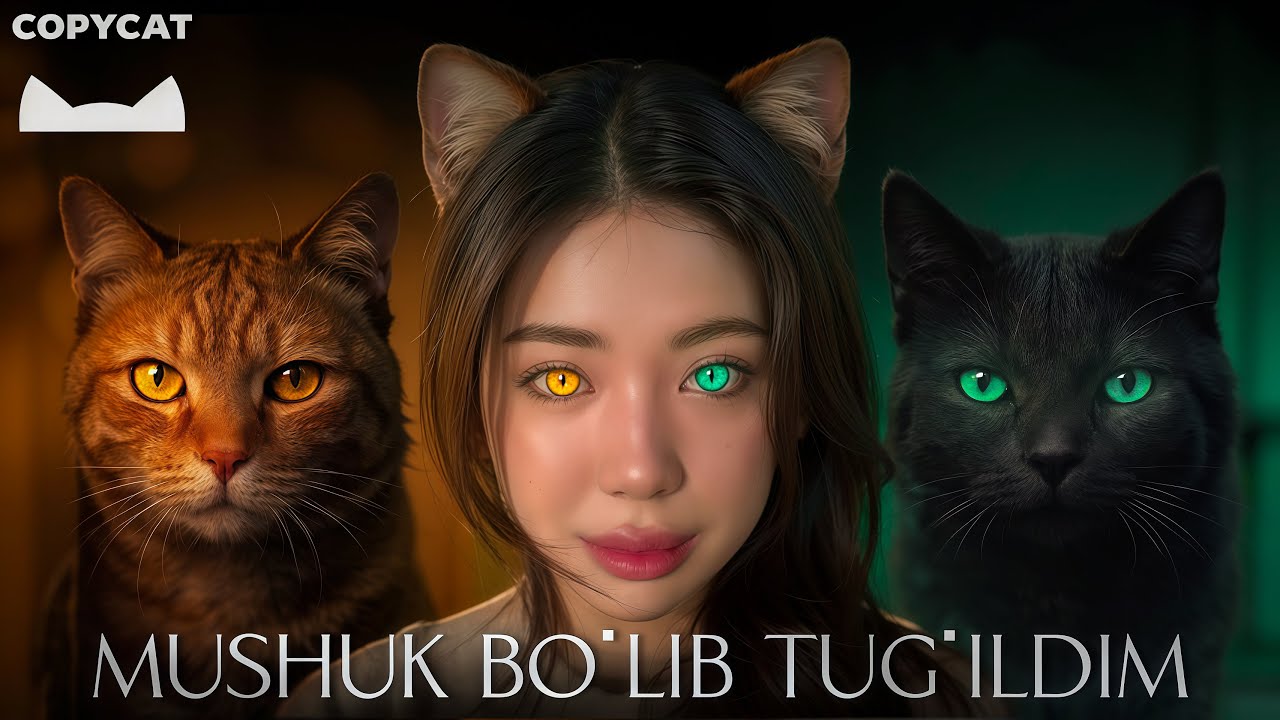 MUSHUK BO'LIB TUG'ILDIM, ENDI FAQAT UXLAYMAN!