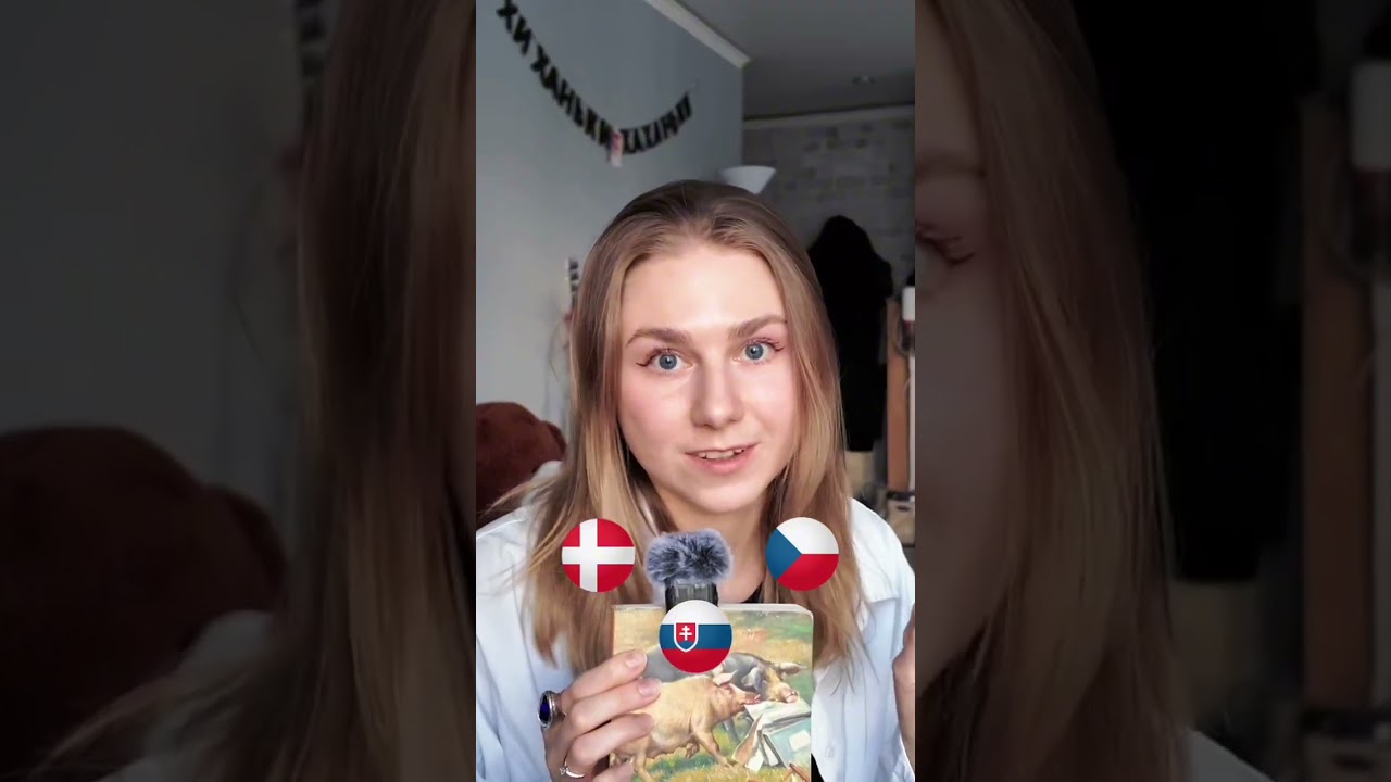 Где СТРАШНО НЕ ПЛ*ТИТЬ НАЛОГИ?☺️ #путешествия #налоги #сша #дания