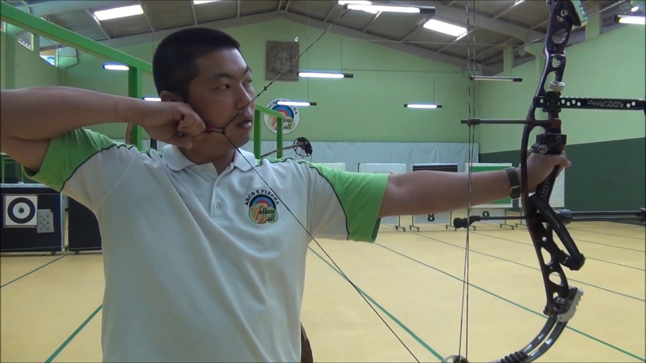 Arco e flecha - arco composto, arco recurvo e arco longbow