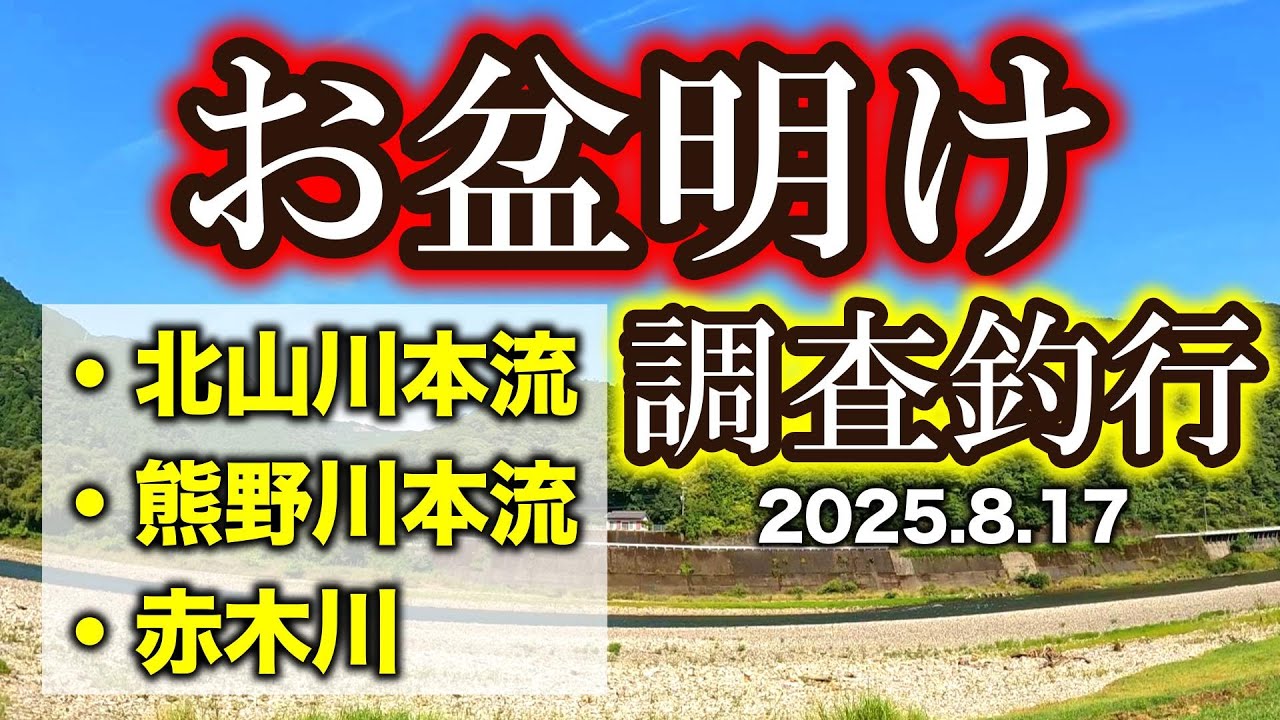皆が知りたい熊野川ナウ！撃沈覚悟でお盆明けの本流調査釣行へ【2025年アユ釣り】