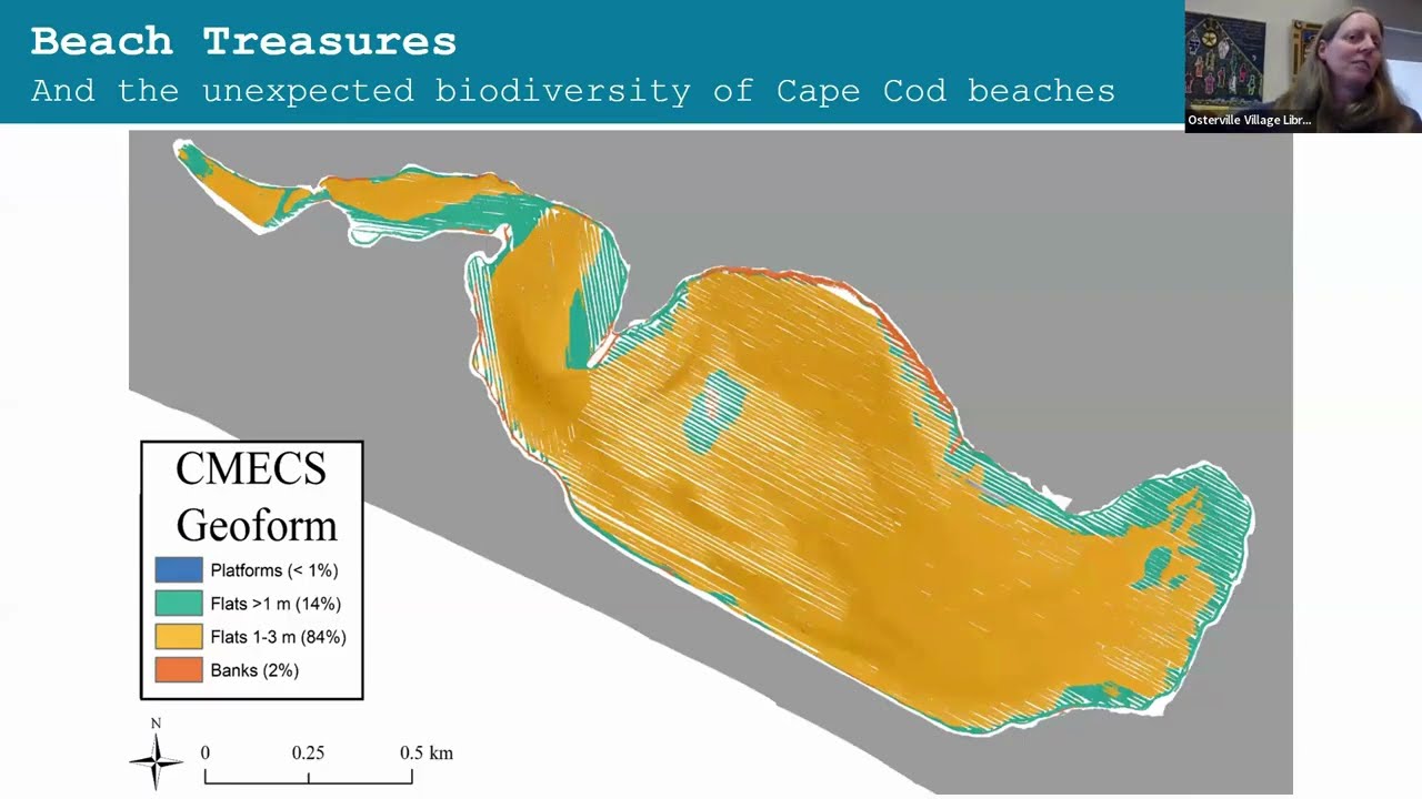 Beach Treasures: A Coastal Biology Talk w/Dr. Agnes Mittermayr, Marine Biologist