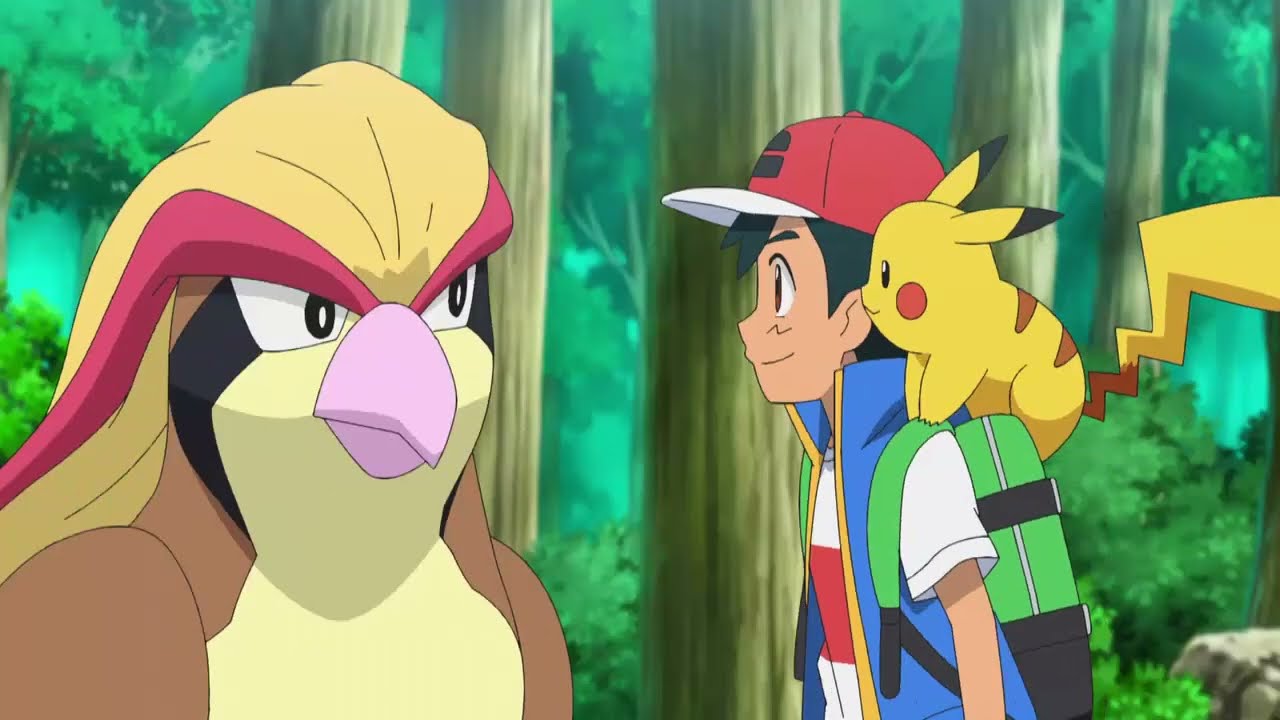 ASH Y PIKACHU SE RENCUENTRAN CON PIDGEOT Y REGRESA CON ELLOS😥
