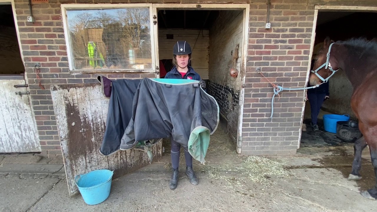 How to put on and remove a horse rug