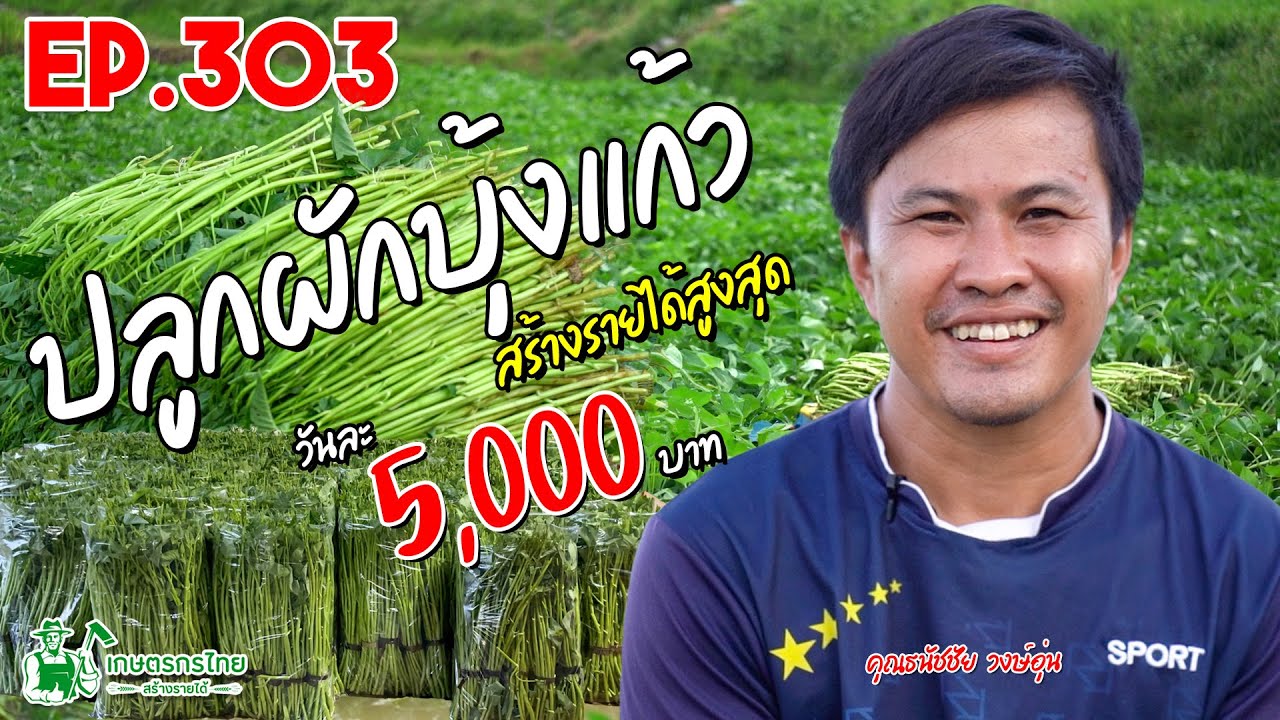 ปรับที่นา มาปลูกผักบุ้งแก้ว สร้างรายได้สูงสูด 5,000 บาท/วัน l เกษตรกรไทย สร้างรายได้ Ep303