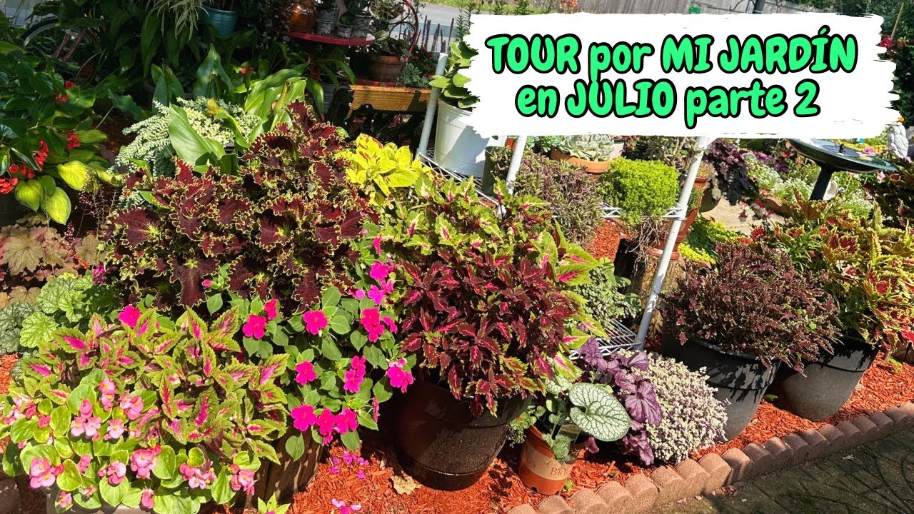 TOUR por mi JARDÍN de JULIO 2024 segunda parte