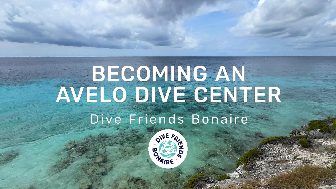 Becoming an Avelo Dive Center: Dive Friends Bonaire