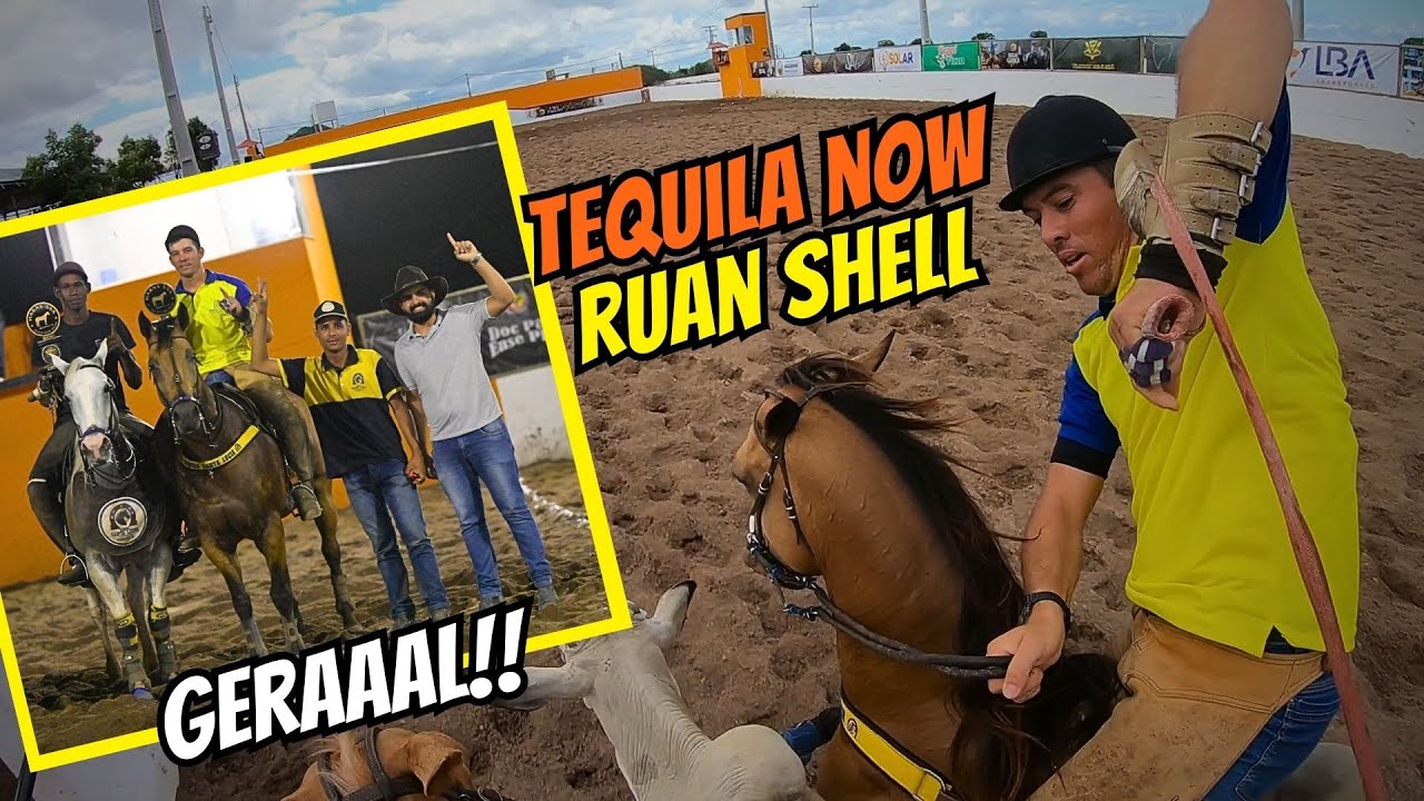 RUAN SHELL GERAL DERBY TEQUILA NOW