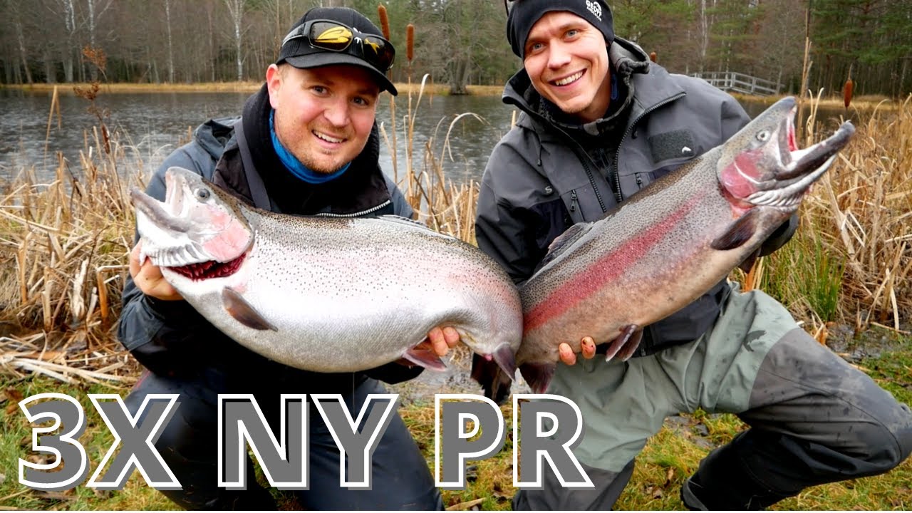 Soldaterkammerater: 3 x NY PR STORE REGNBUER OG LAKS
