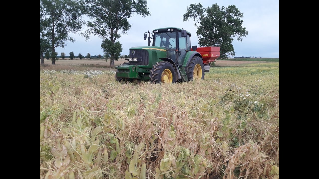Nawóz pod rzepak w grochu/ John Deere & Kvernelnd/ Kula