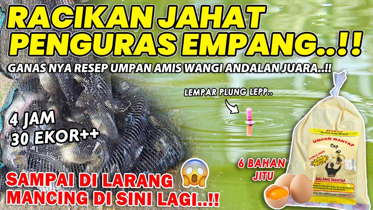 SAMPAI DI LARANG MANCING DI EMPANG INI LAGI !! RACIKAN UMPAN KEJAM PENGHABIS IKAN TERJITU ❗❗
