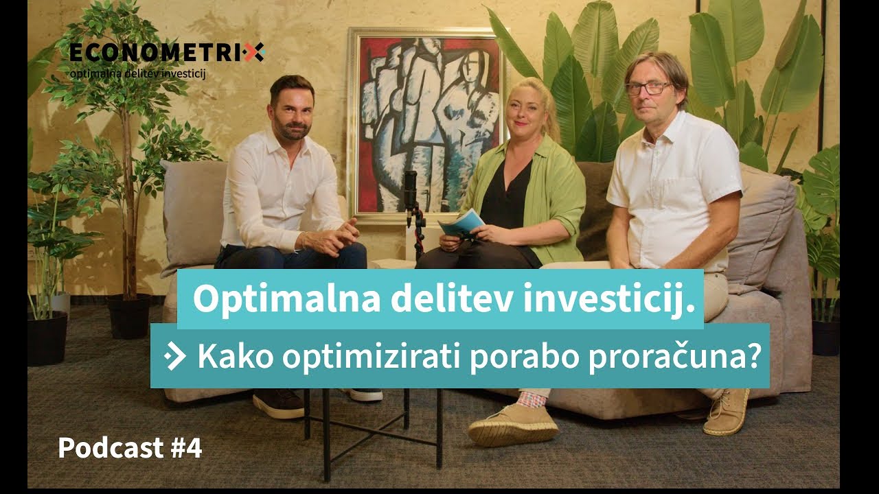 Optimalna delitev investicij. Kako optimizirati porabo proračuna?