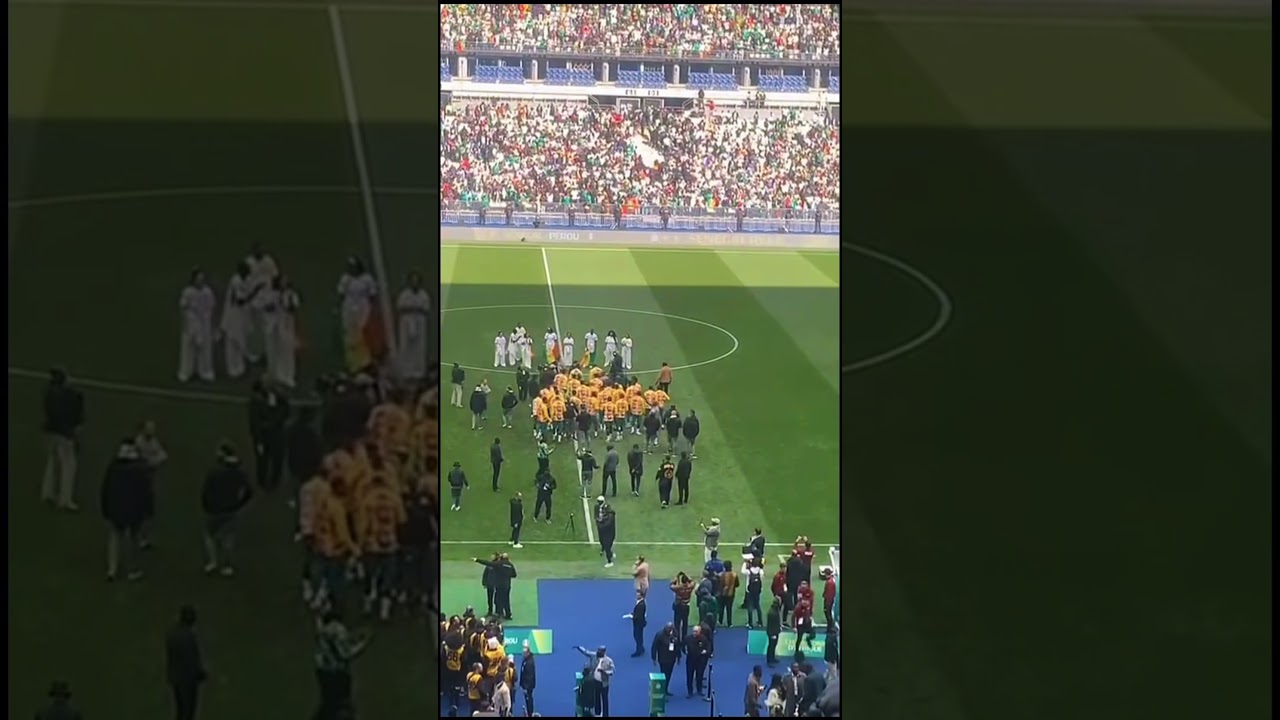 🛑L&rsquo;entr&eacute;e des Lions 🦁 champions d&rsquo;Afrique au stade de France 🔥❤️&zwj;🔥