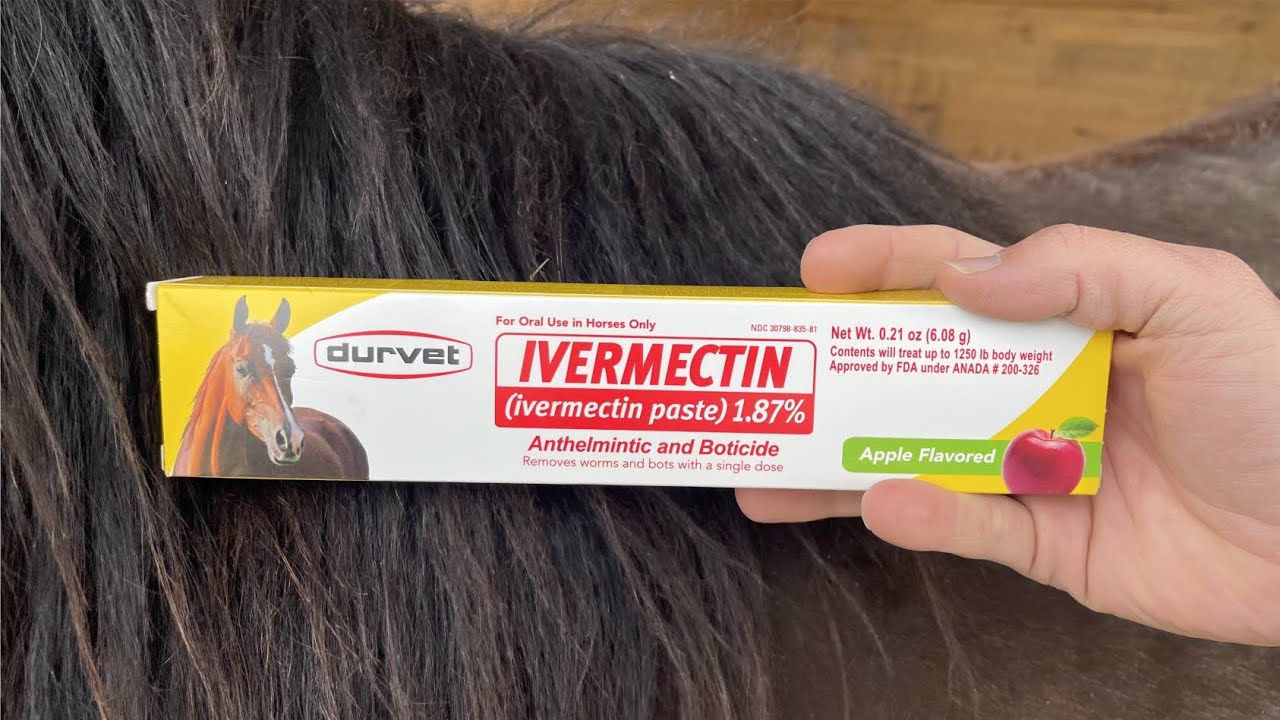 DURVET/EQUINE 698454 Ivermectin Paste 1.87% for Horses | Review & Demonstration