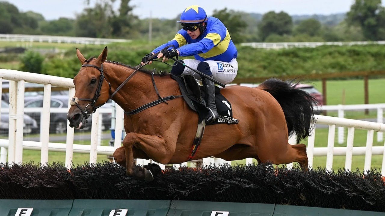DYSART DASHER gives Closutton opening double at Kilbeggan