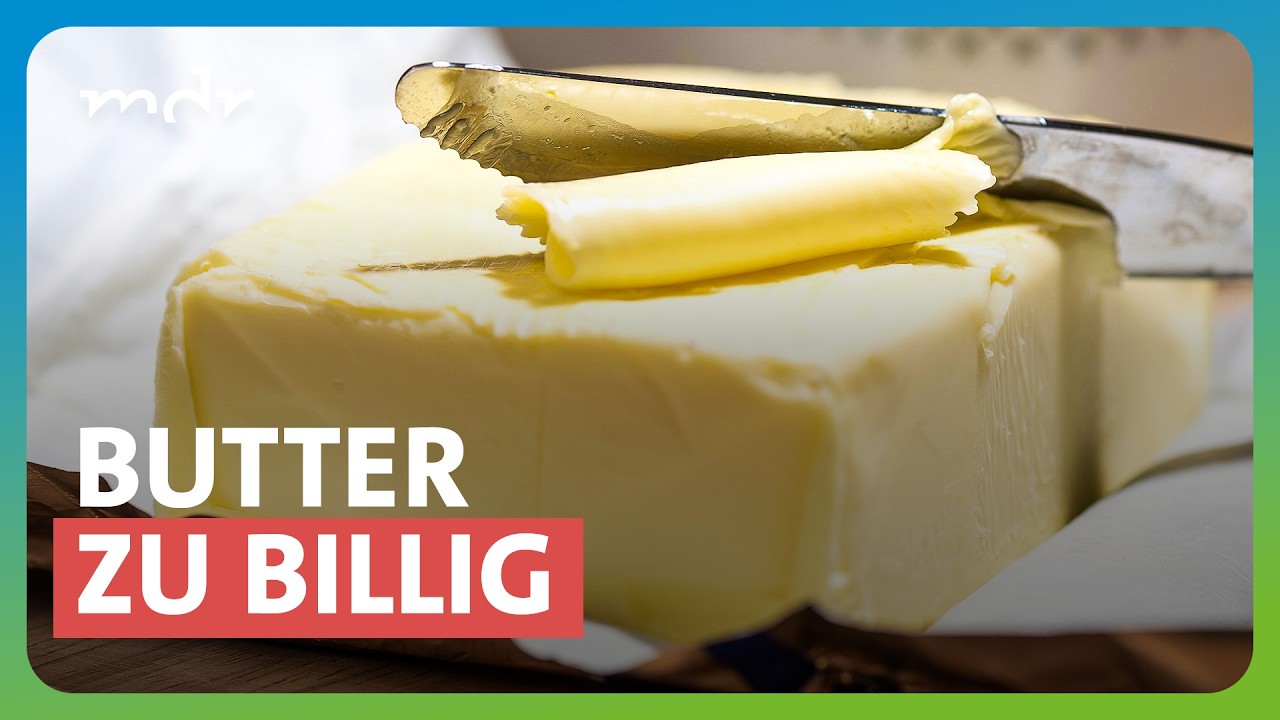 Fallende Milchpreise bringen Landwirte in Not | MDR TH&Uuml;RINGEN JOURNAL | MDR