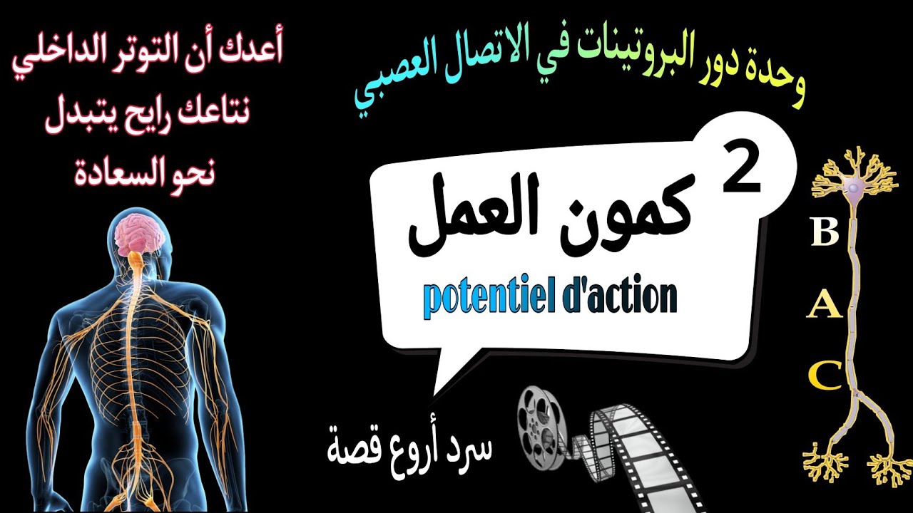 😎ملخص كمون العمل 🥇بكل تفاصيله وافكاره🕸️|بكالوريا