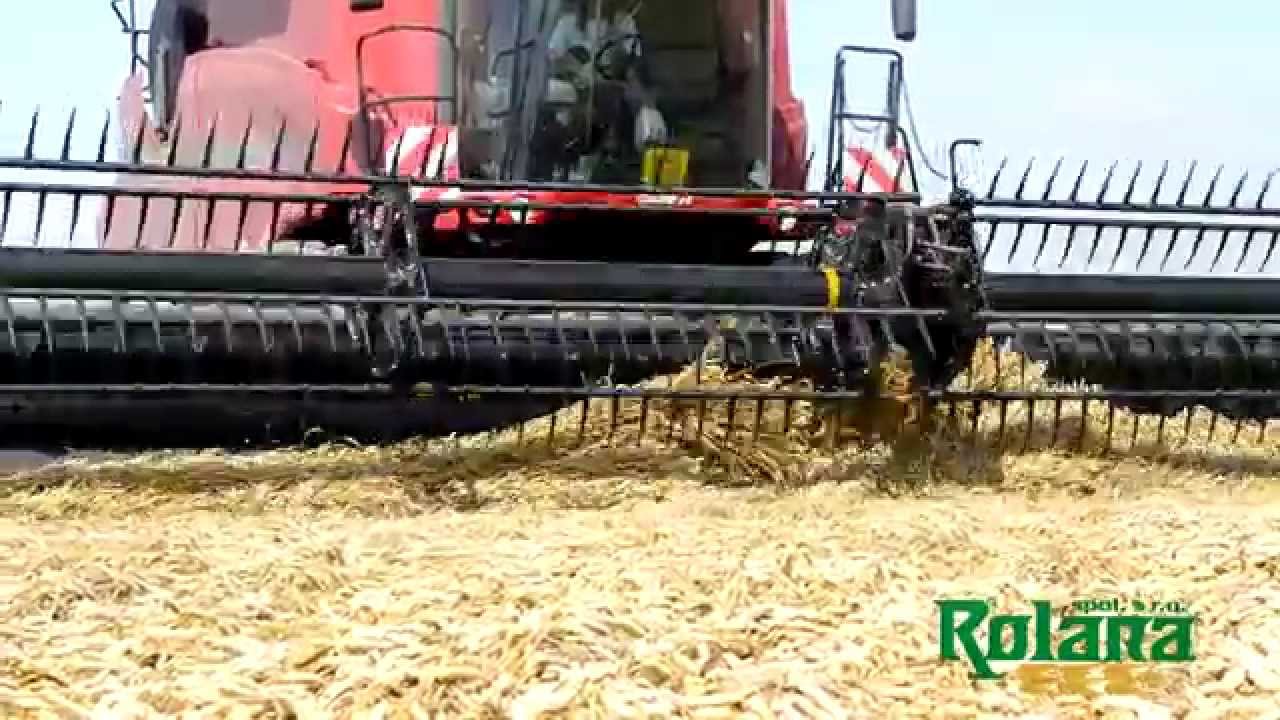 Žně 2014 - Case 9120 + MacDon 10,7m