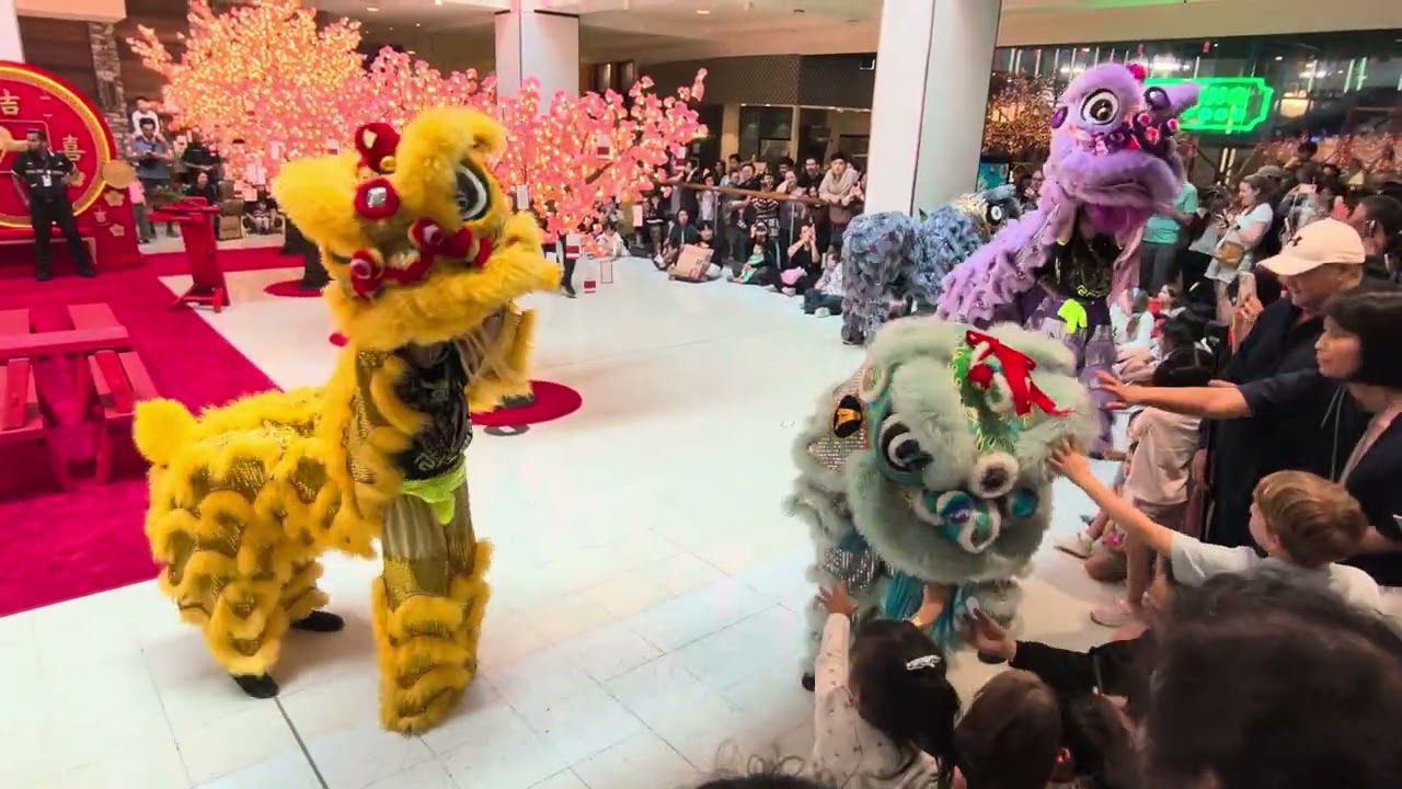 Lion Dance Year of Fire Horse in Sydney Australia
