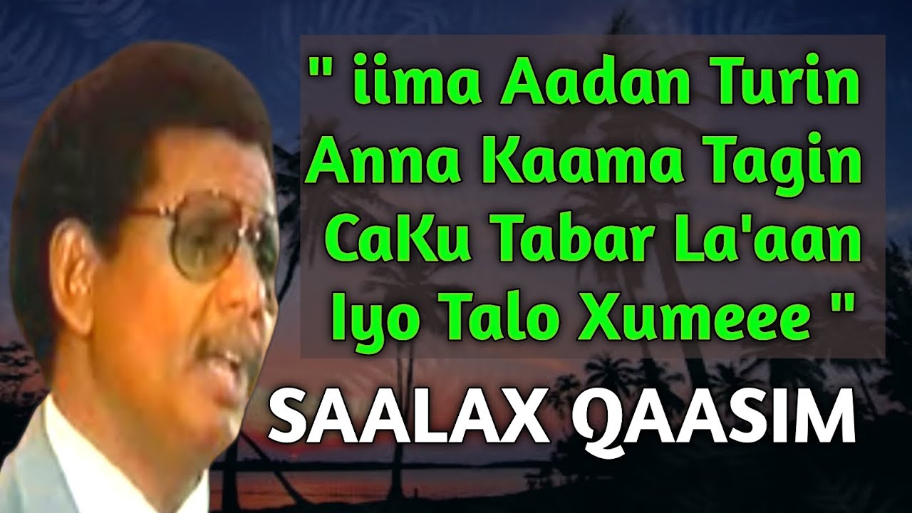 saalax qaasim caku tabar la aan | saalax qaasim caku tabar la aan lyrics | caku tabar la aan lyrics