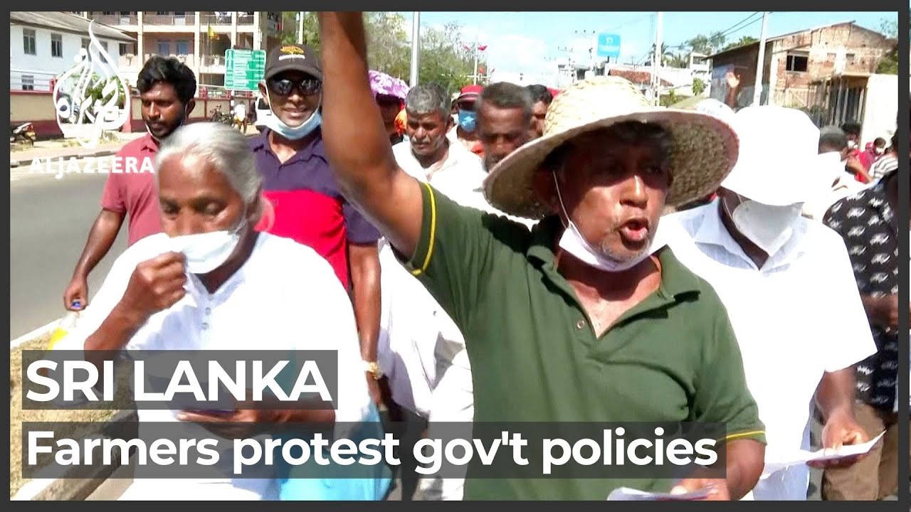 Sri Lanka farmers protest against gov’t policies as crop yields drop