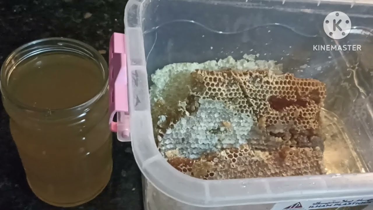عسل الجرير  دخلوا معيا تشوفوا  بعض المعلومات عن رعي النحل