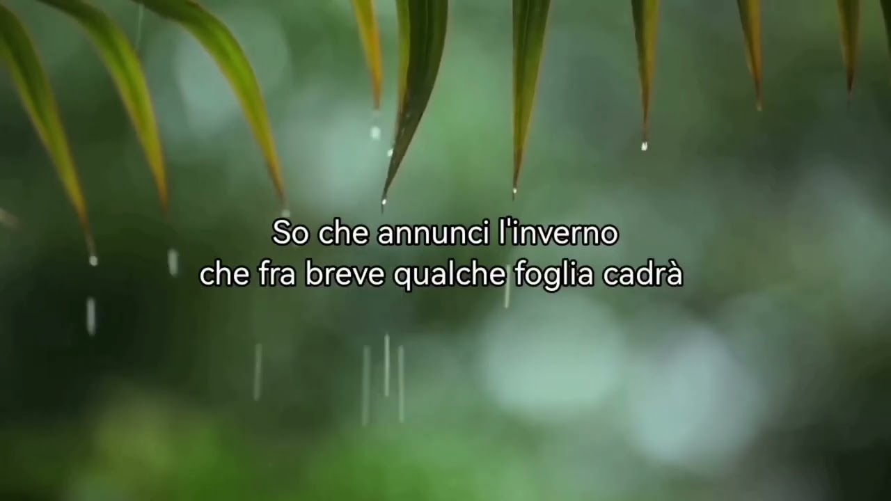 Pioggia d'autunno - Valentina Carvelli 