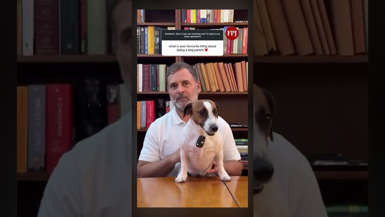 Рахул Ганди: &laquo;Они нам не принадлежат&raquo; | Его послание после вирусного появления Нури