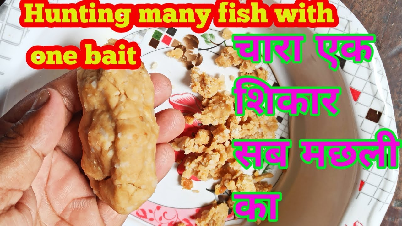 Hunting many fish with one bait || एक चारा से सब मछली का शिकार || Sundar bihar