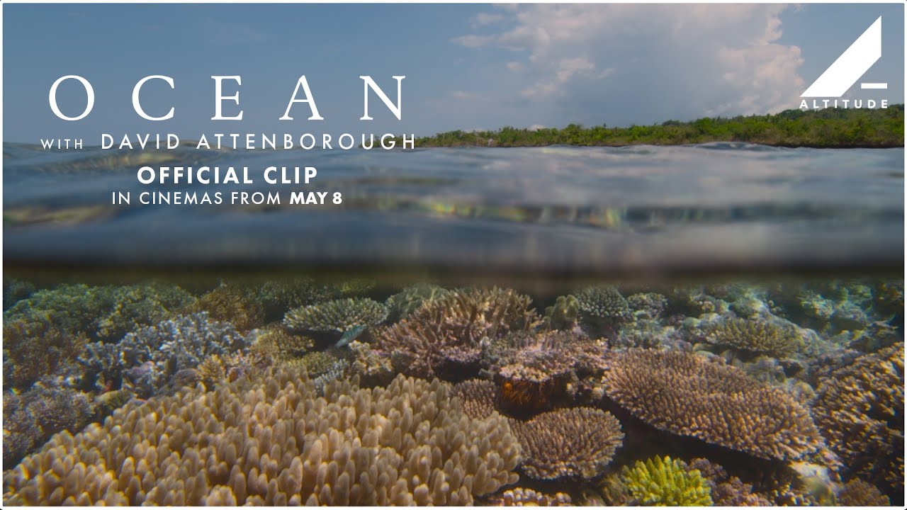 OCEAN WITH DAVID ATTENBOROUGH | 'SCUBA DIVING' CLIP | IN CINEMAS NOW | Altitude Films