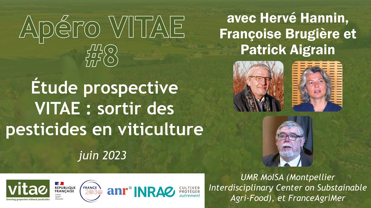 Apéro VITAE n°8 - Étude prospective VITAE : sortir des pesticides en viticulture